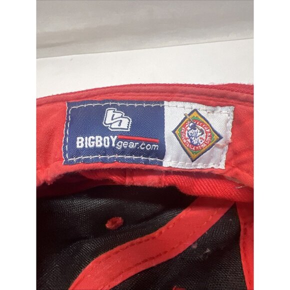 Big Boy Headgear Negro League 1920 Snapback Hat Cap Team Patches NY Red Yankee - Picture 8 of 8